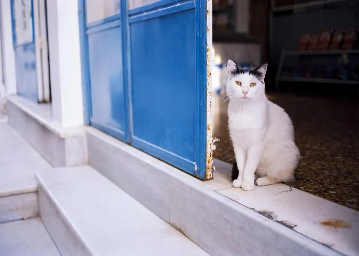 Leoforos Dyo, Modern 3bdr With Pool, In The Centre Βίλα Πρωταράς