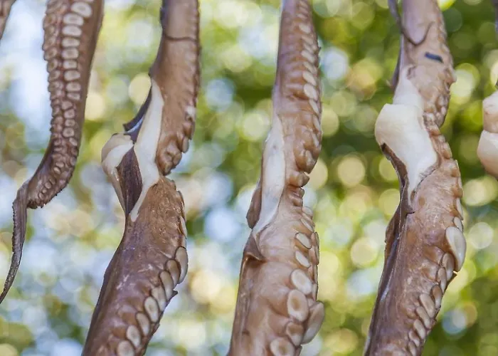 Leoforos Dyo, Modern 3bdr With Pool, In The Centre Πρωταράς